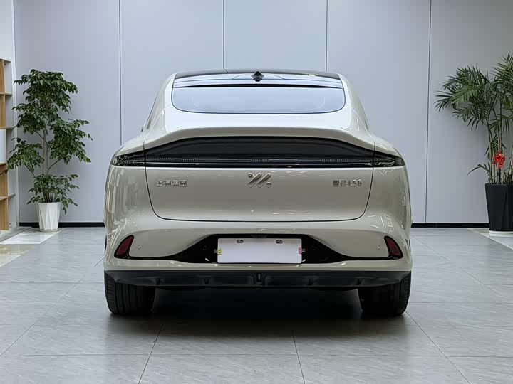Фото 4 - IM motors LS6