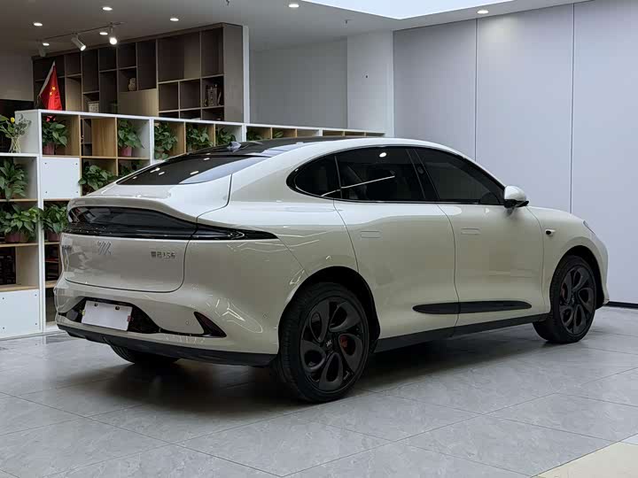 Фото 5 - IM motors LS6