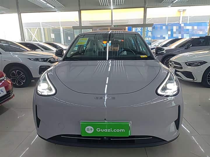 Geely Galaxy Geome 2026 2026款 410km 自由版