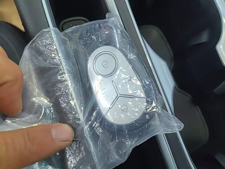 Geely Galaxy Geome 2026 2026款 410km 自由版