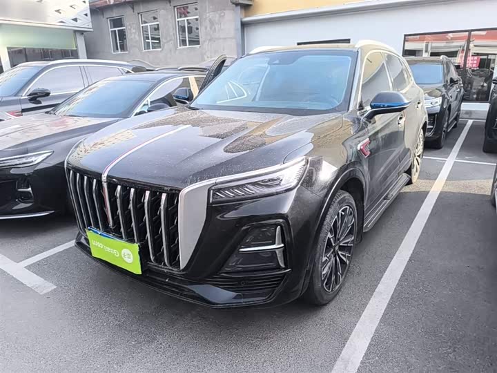 Фото 2 - Hongqi HS5
