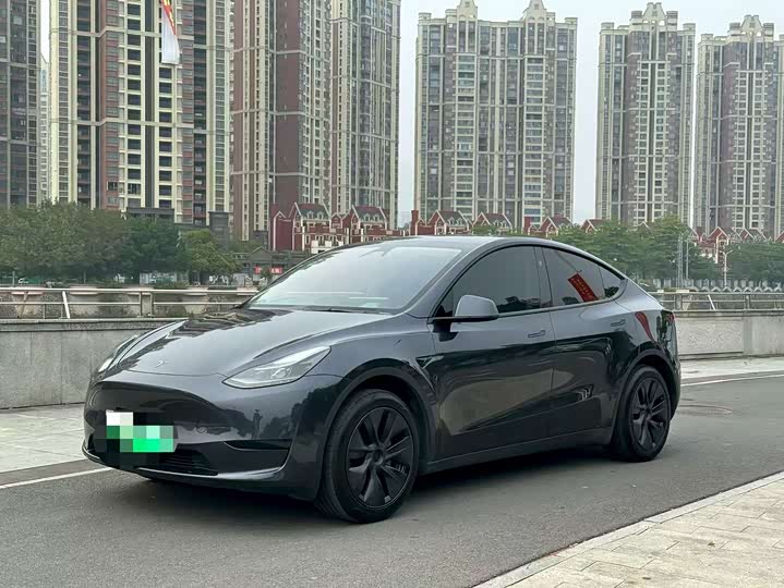 Tesla Model Y 2024 2024款 后轮驱动版