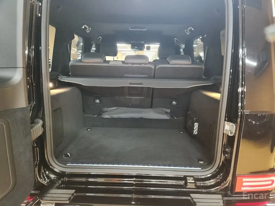 Mercedes-Benz G-Class 2024 G450d
