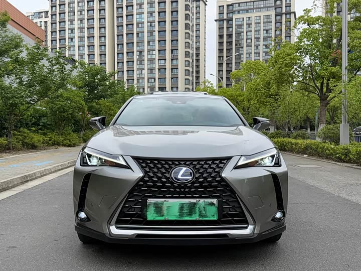 Lexus UX Hybrid 2020 2020款 300e 纯·享版