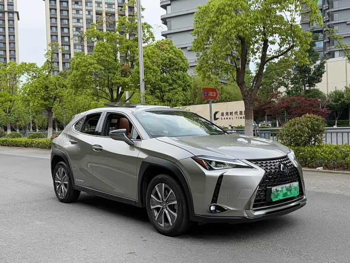 Lexus UX Hybrid 2020 2020款 300e 纯·享版