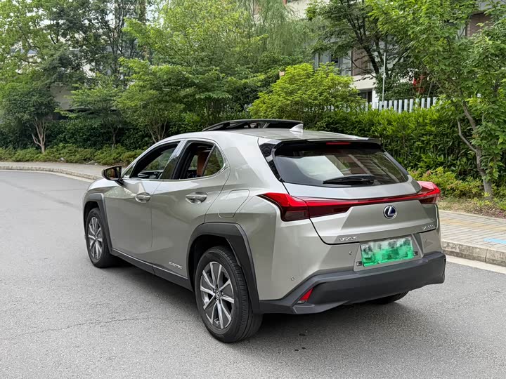 Lexus UX Hybrid 2020 2020款 300e 纯·享版
