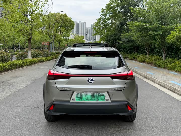 Lexus UX Hybrid 2020 2020款 300e 纯·享版