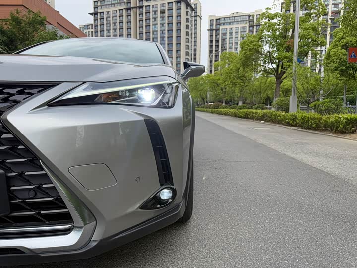 Lexus UX Hybrid 2020 2020款 300e 纯·享版
