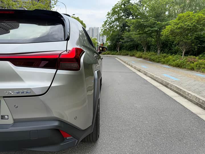 Lexus UX Hybrid 2020 2020款 300e 纯·享版