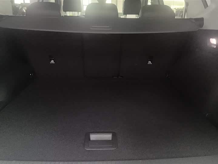 Volkswagen Tayron 2024 2024款 300TSI 两驱豪华Plus进阶版