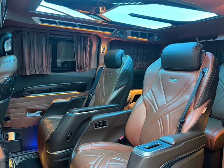 Ford Tourneo 2023 2023款 2.0T 自动致尊版