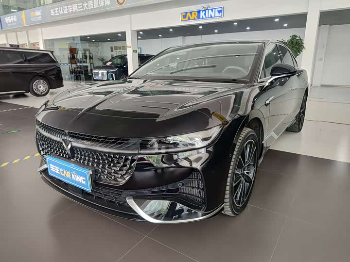 Voyah Passion 2024 2024款 PHEV 四驱超长续航旗舰版