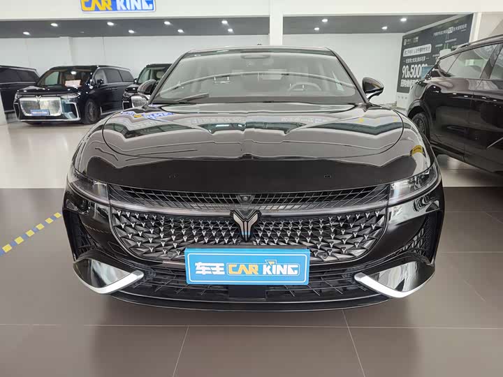 Voyah Passion 2024 2024款 PHEV 四驱超长续航旗舰版