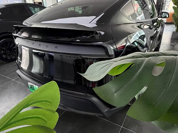 Tesla Model Y 2026 2026款 长续航全轮驱动版