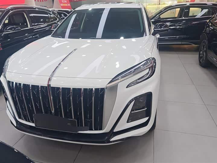 Фото 2 - Hongqi HS3 Hybrid