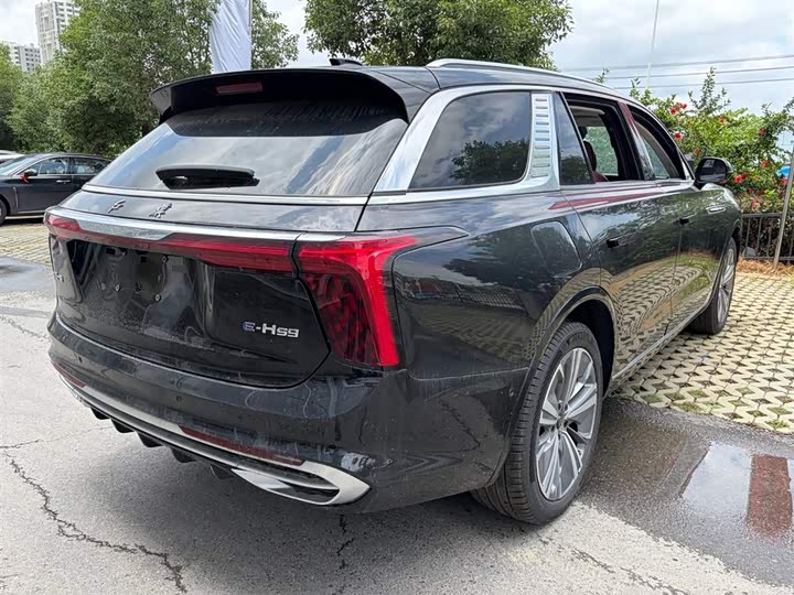 2025 Hongqi E-HS9