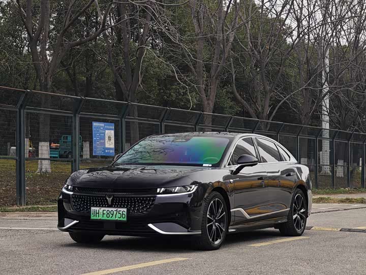 Voyah Passion 2024 2024款 PHEV 四驱超长续航旗舰版