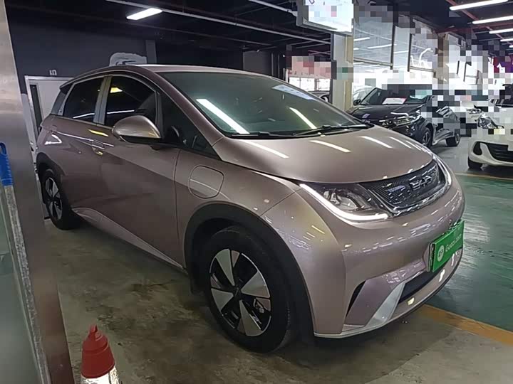 Фото 4 - BYD Dolphin