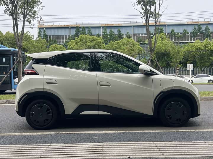 Фото 4 - BYD Seagull