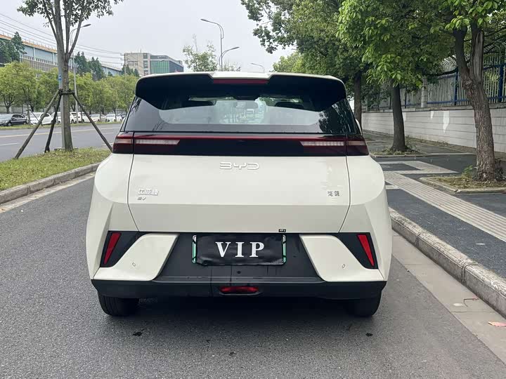 Фото 6 - BYD Seagull