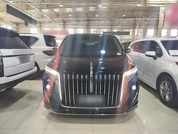 Hongqi HQ9 2023 2023款 2.0T 智联旗领版