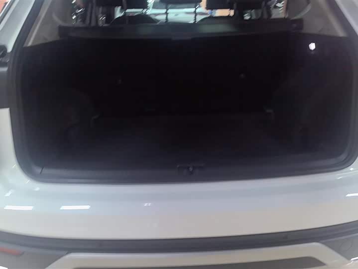 Фото 4 - Volkswagen Tayron