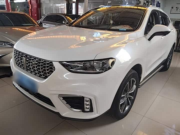 Wey VV5 2021 2021款 1.5T 两驱颜先锋