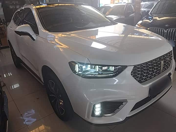 Wey VV5 2021 2021款 1.5T 两驱颜先锋