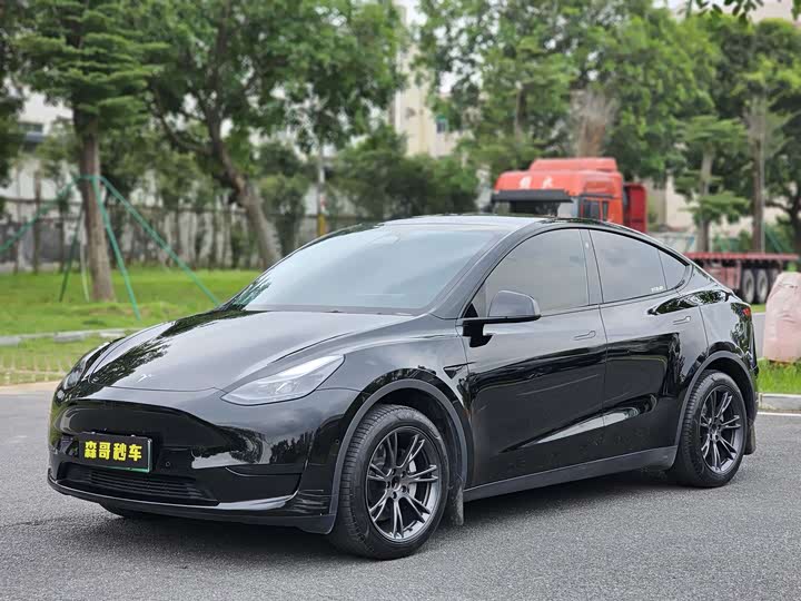 Фото 1 - Tesla Model Y