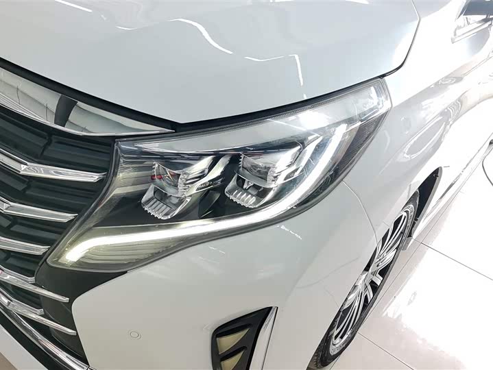 GAC Trumpchi M8 2021 2021款 领秀系列 390T 尊贵版