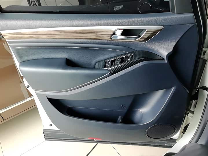 GAC Trumpchi M8 2021 2021款 领秀系列 390T 尊贵版