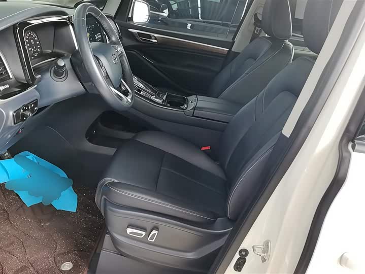 GAC Trumpchi M8 2021 2021款 领秀系列 390T 尊贵版
