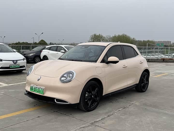 Ora Good Cat (03) 2024 2024款 401km 豪华型