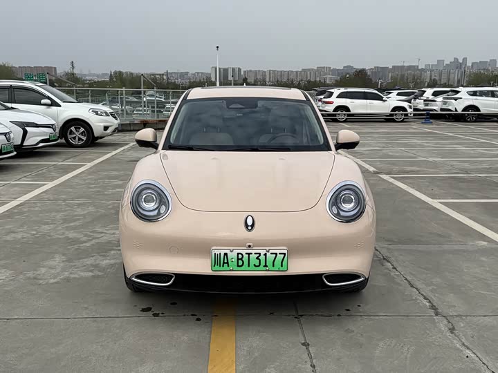 Ora Good Cat (03) 2024 2024款 401km 豪华型