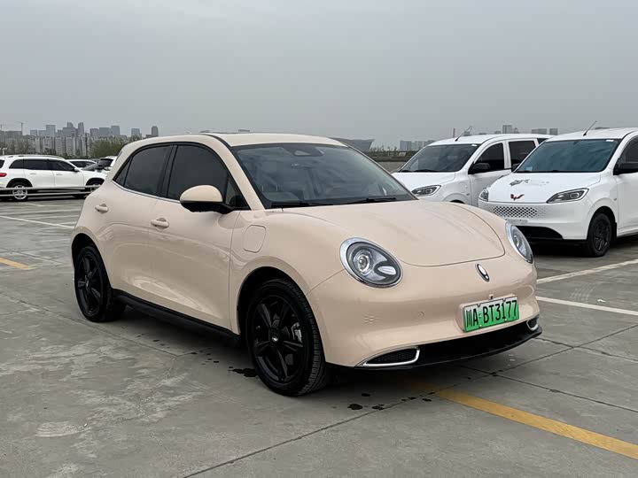 Ora Good Cat (03) 2024 2024款 401km 豪华型