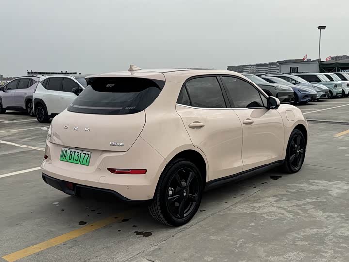 Ora Good Cat (03) 2024 2024款 401km 豪华型