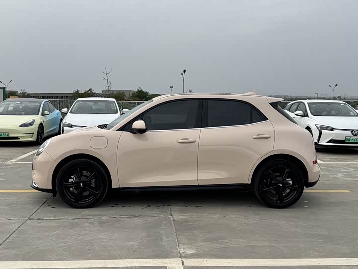 Ora Good Cat (03) 2024 2024款 401km 豪华型