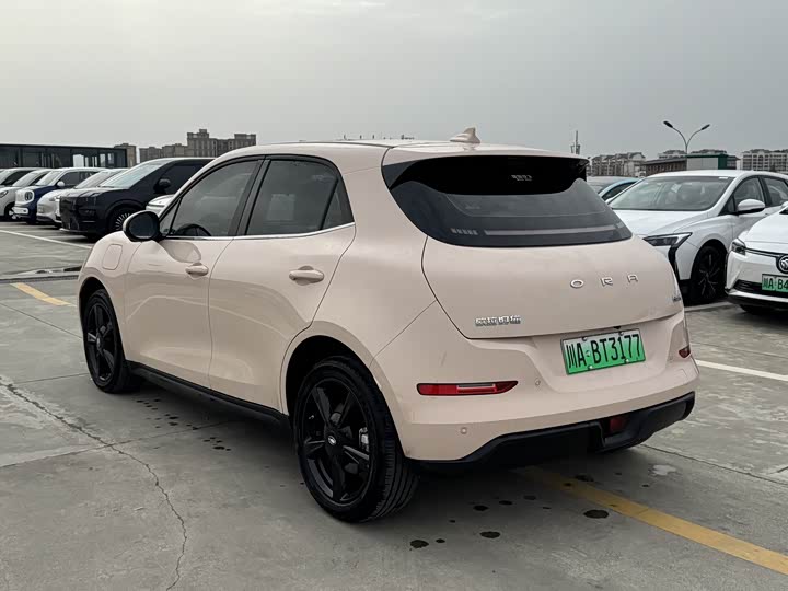Ora Good Cat (03) 2024 2024款 401km 豪华型
