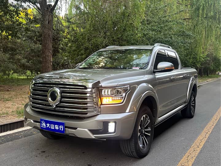 2023 Great Wall Shanhai Poer