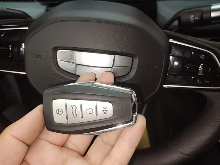 Geely Geometry E Firefly 2024 2024款 401km 星光