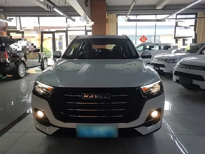 Haval H6 2025 2025款 1.5T 国潮都市版