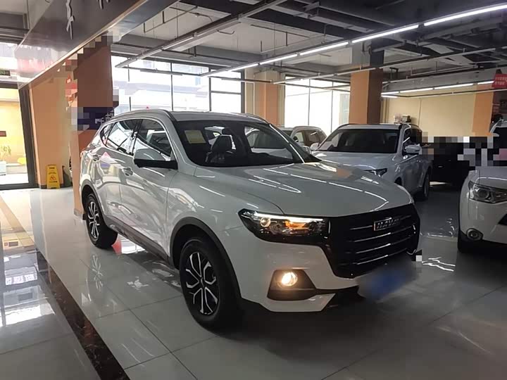 Haval H6 2025 2025款 1.5T 国潮都市版