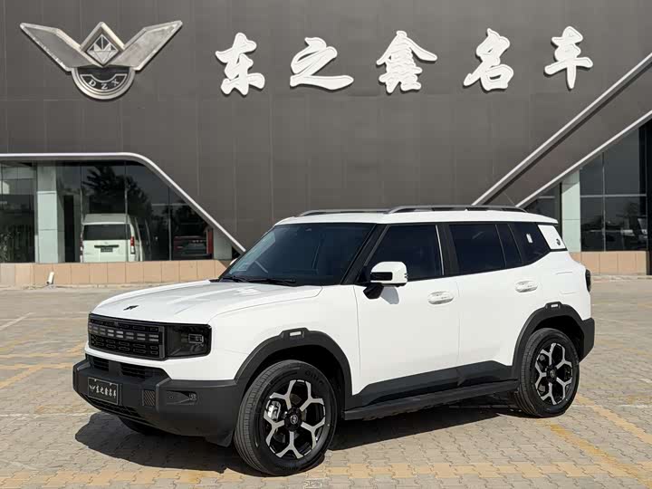 Jetour Shanhai T1 2024 2024款 150km 向海