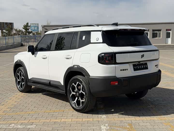 Jetour Shanhai T1 2024 2024款 150km 向海