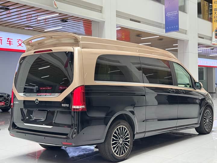 Mercedes-Benz V-Class 2018 2018款 V 260 L 尊贵加长版 国VI