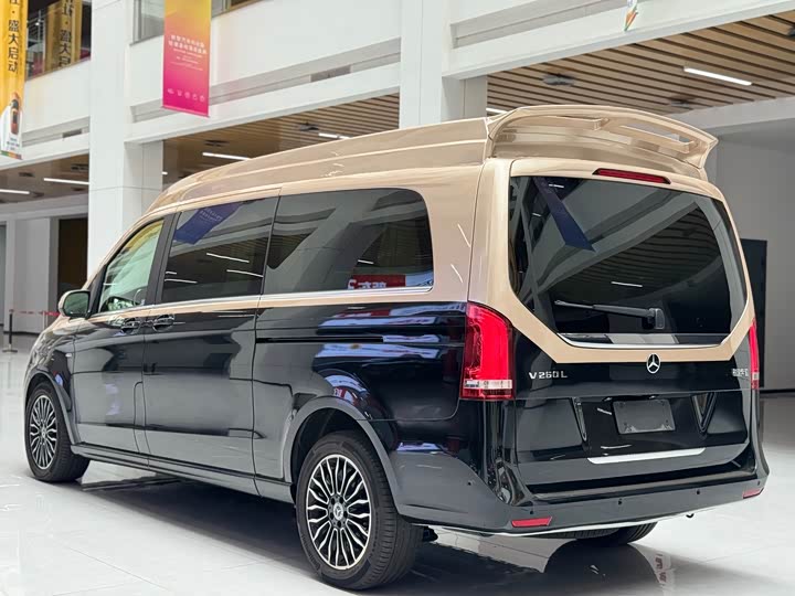 Mercedes-Benz V-Class 2018 2018款 V 260 L 尊贵加长版 国VI