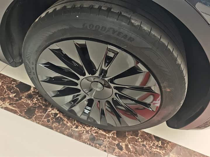 Tesla Model Y 2024 2024款 后轮驱动版