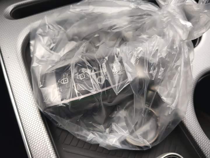 GAC Aion Y 2025 2025款 Plus 430 智享版