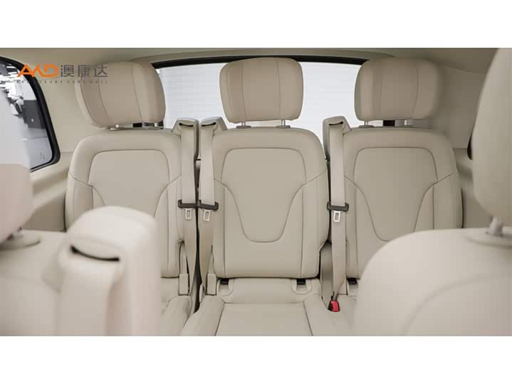 Mercedes-Benz V-Class 2021 2021款 V 260 领航版