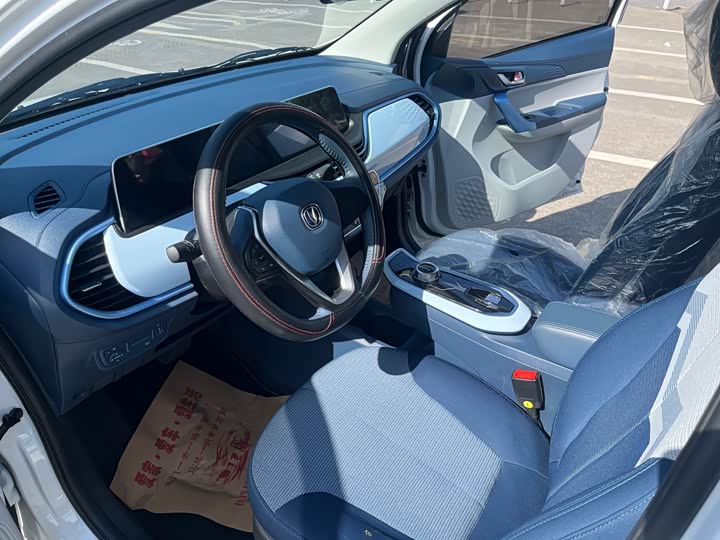 Changan BenBen E-Star 2023 2023款 清心版 多彩款 磷酸铁锂
